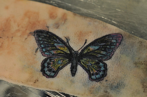 File:Tattoo classes 2398.jpg