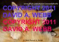 Thumbnail for version as of 16:21, 11 December 2012