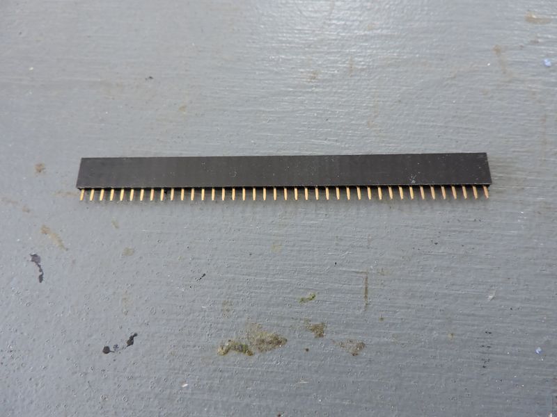 File:Fheader.JPG